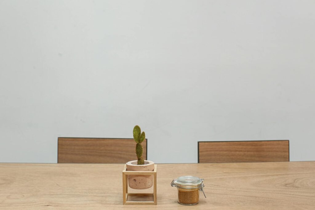 Simple minimalist dining setting featuring cactus and jar on wooden table.